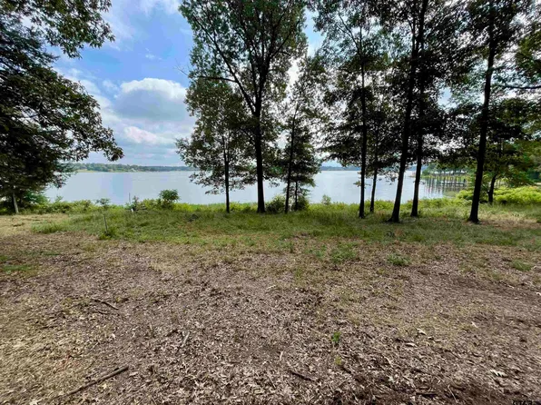 101 Sterling Shores Dr, Scroggins, TX 75480