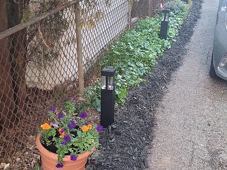 Garden area/driveway