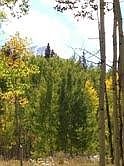 5th image of Tbd Waggoner Rd