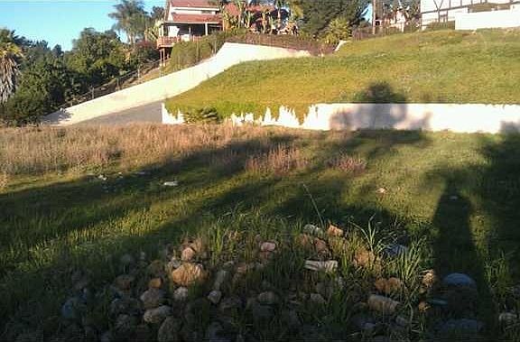 5th image of 9803 Lyncarol Dr