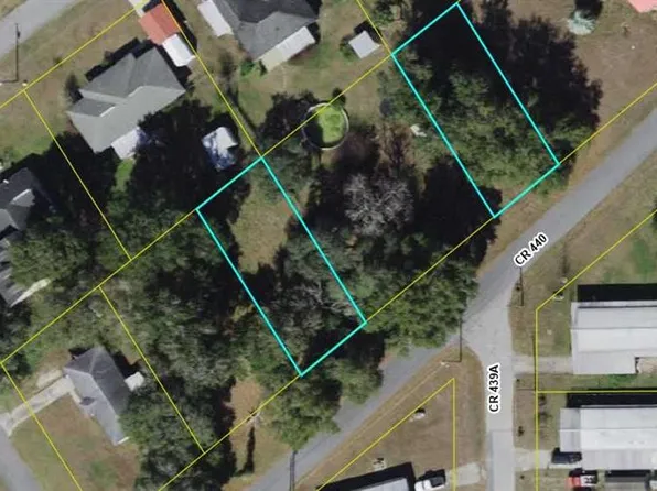 16 & 19 County Road 440, Lake Panasoffkee, FL 33538