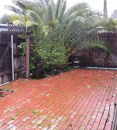 Rear Patio