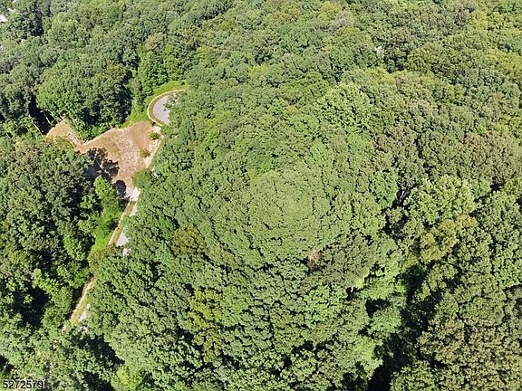 5th image of 7 Settlers Ridge Ct