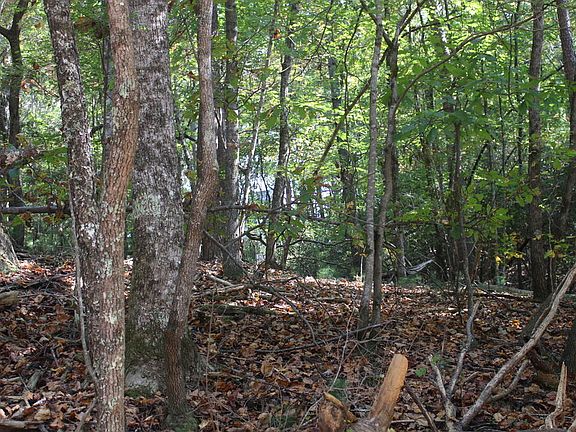 4th image of 546 Satsuma Ct N