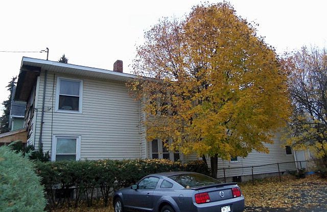 2nd image of 663 College Ave