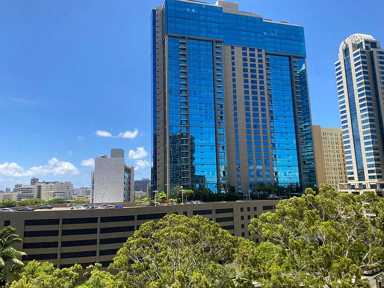 55 S Kukui St #D904 — Photo 10