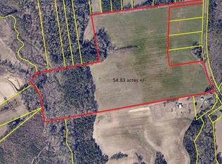 Clearbrook Rd, Effingham, SC 29541