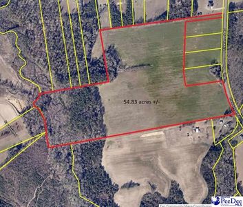 Clearbrook Rd, Effingham, SC, 29541