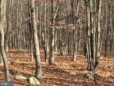 Hutter Rd, Fisher, WV, 26818