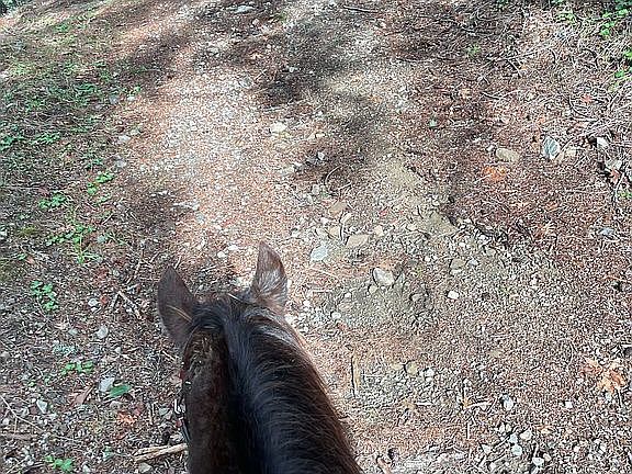 4th image of 12575 Buck Mountain Rd