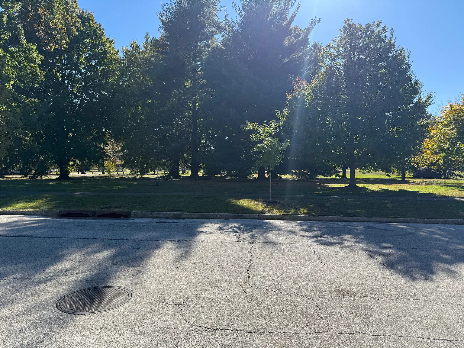 3 bed, 1800 sqft, $2,600 — Photo 3