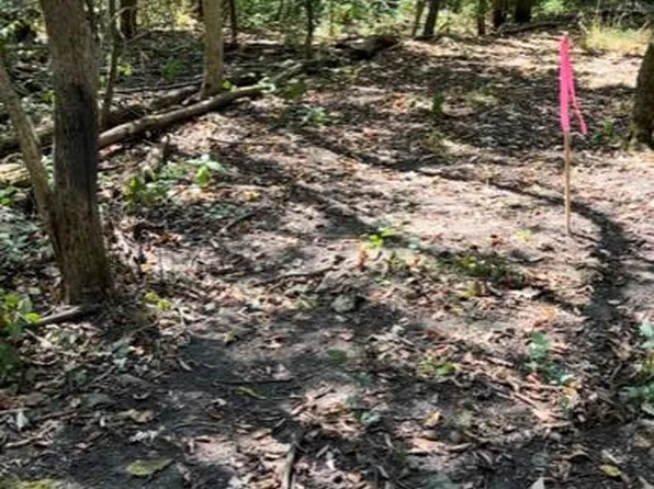 Lot 1 Horan Road, Brooklyn, WI 53521