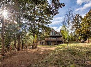 45 Barr Lake Cir, Divide, CO 80814