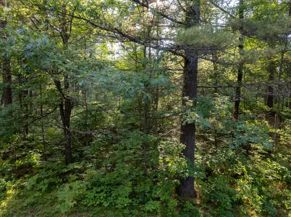 LOT 15 Dads Lake Rd, Eagle River, WI 54521