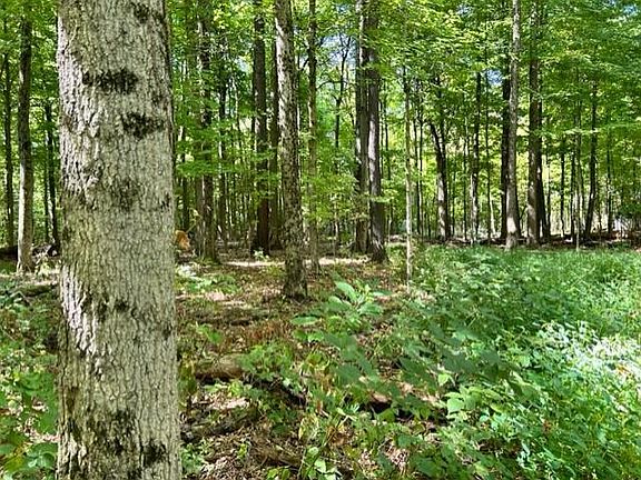 4th image of 833 Township Road 754
