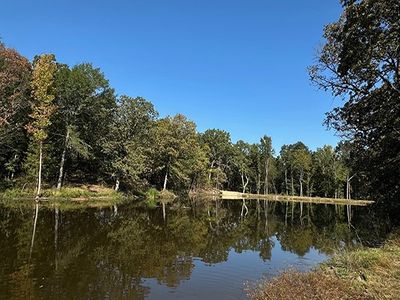 8868 Fm 115, Scroggins, TX, 75480