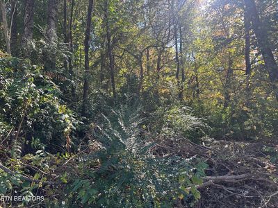 2601 Rifle Range Dr, Knoxville, TN, 37918