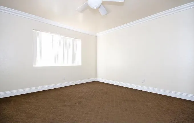 7405 Charmant Dr #2030 — Photo 10