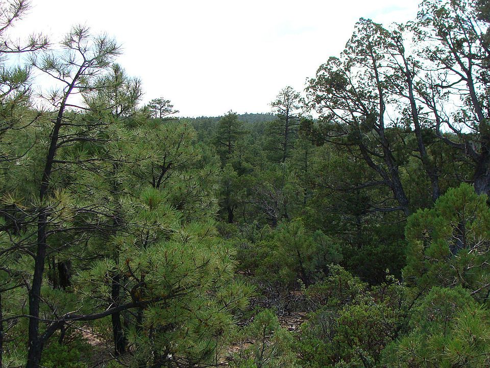 1st image of 2380 S Twin Peak Trl