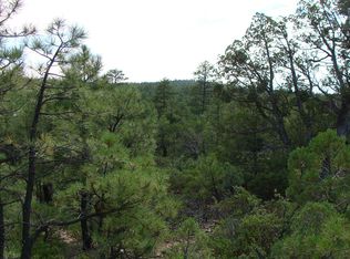 2380 S Twin Peak Trl, Show Low, AZ 85901