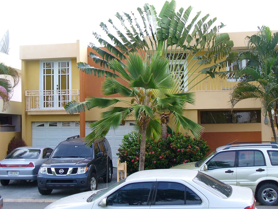 FRENTE DE LA CASA