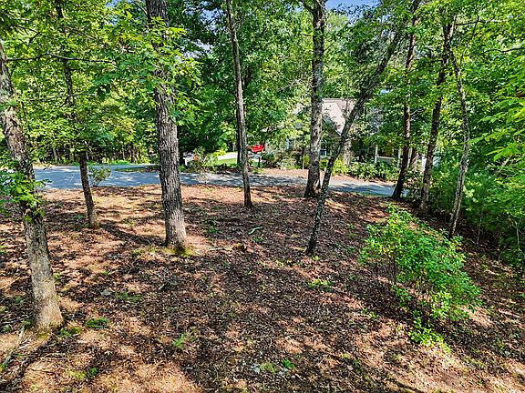 5th image of 11 Brasstown