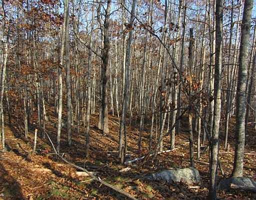 3rd image of Lot 10 Acorn Lane-spruce Mountain