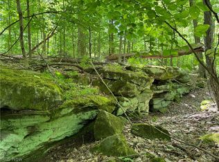 Madison Rd, Thompson, OH 44086