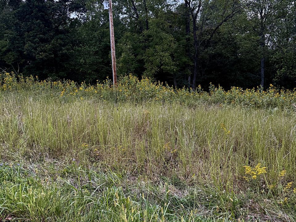 2nd image of 0 College St Lot 58