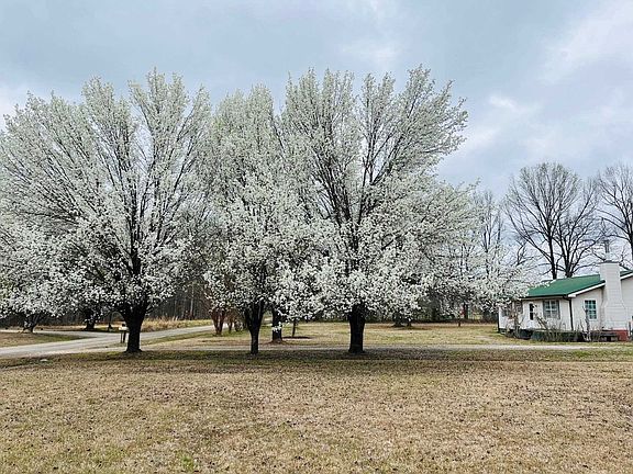 3rd image of 275 Fritton Spur Rd