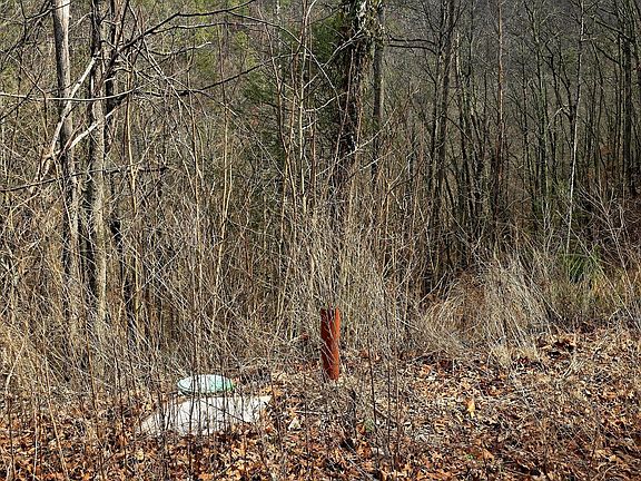 3rd image of 3278 Emerald Springs Loop