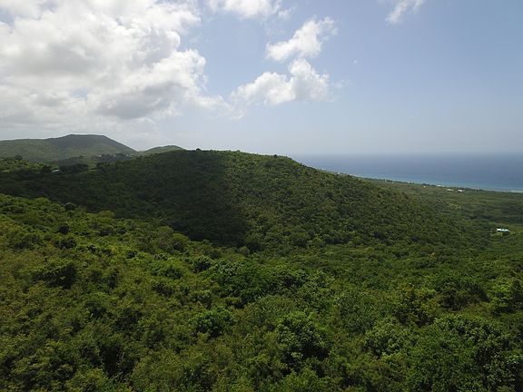 4th image of 2-D Bonne Esperance
