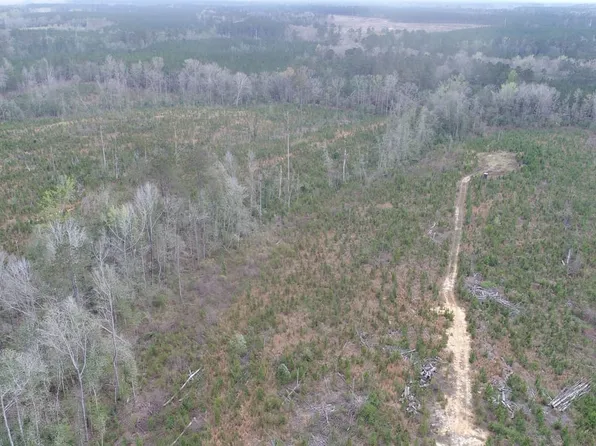 Mill St, Georgiana, AL 36033