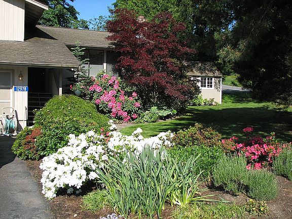 Front Flower Bed