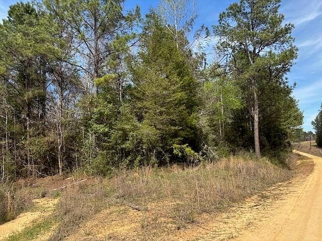1st image of Conecuh River Church Rd