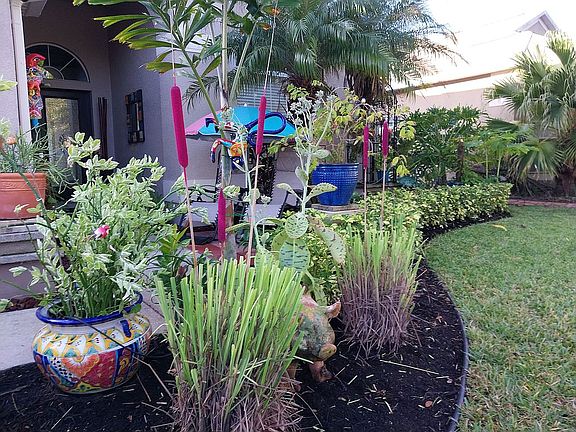 4th image of 1634 Mira Lago Cir