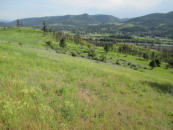 Looking down along fenceline