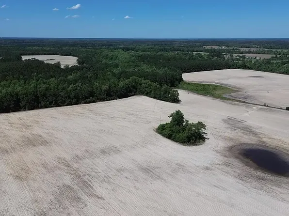 0 Burnell Rd, Estill, SC 29918