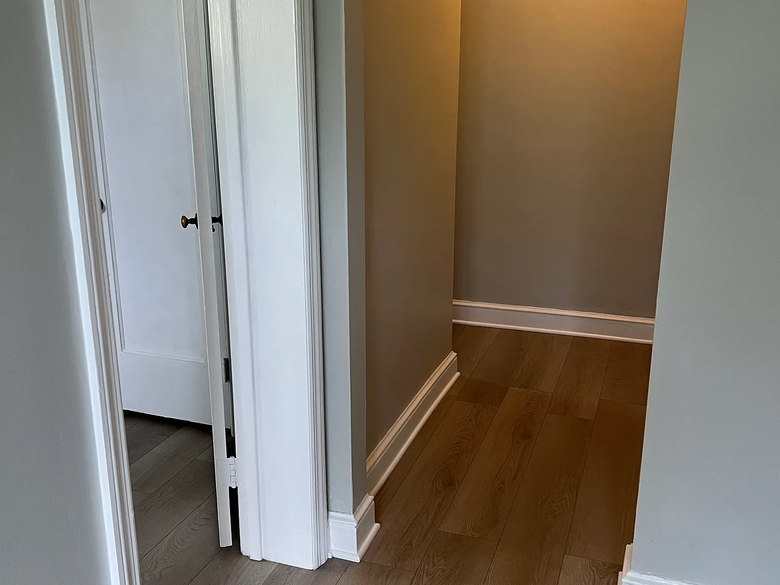 1 bed, 800 sqft, $1,300 — Photo 4