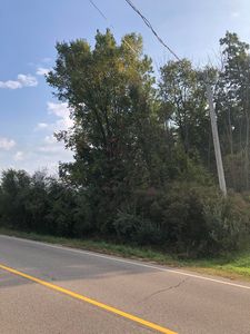 Ville #56, Fennville, MI, 49408