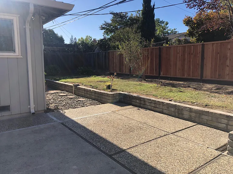 Backyard 2