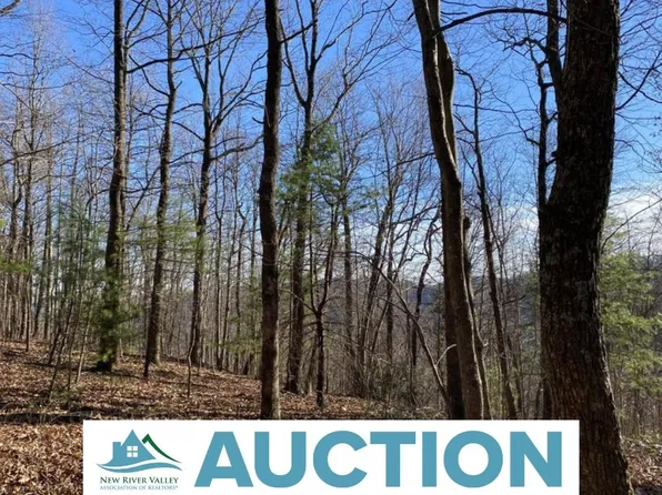 Tbd Hickory Hollow Ln, Copper Hill, VA 24079
