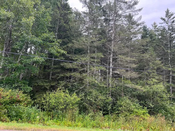 Lot 48-11 Patterson Road, Hampden, ME 04444