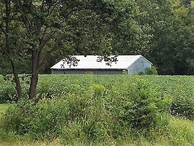 2nd image of 701 Floraville Rd