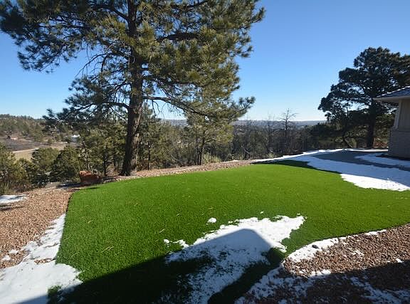 Front yard, maintenance free turf