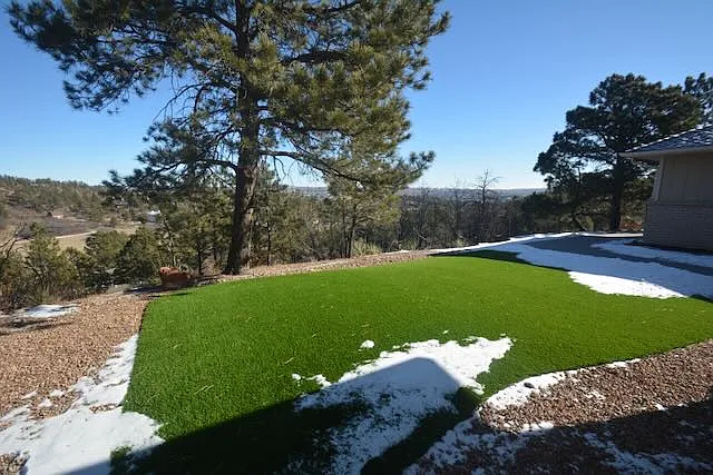 Front yard, maintenance free turf