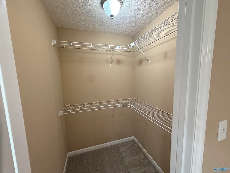 41 Kaylee Loop — Photo 14