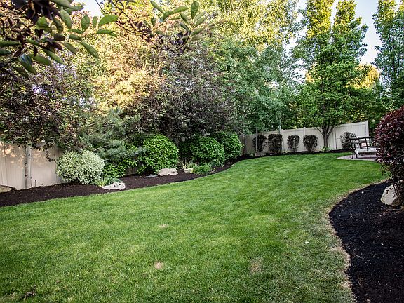 East facing shaded back yard