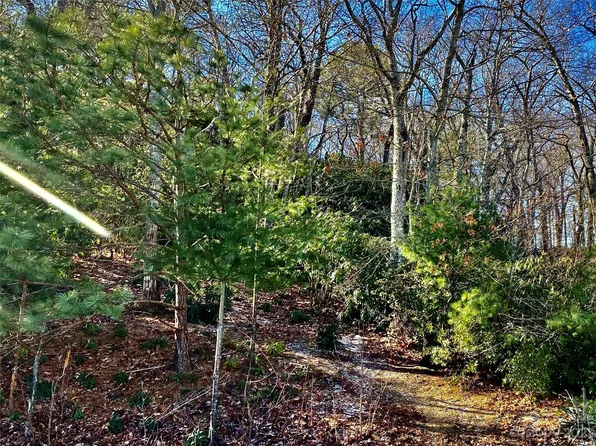 10 Grouse Ter, Fairview, NC 28730