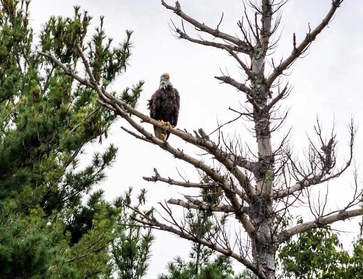 210 Shore Rd — Photo 23